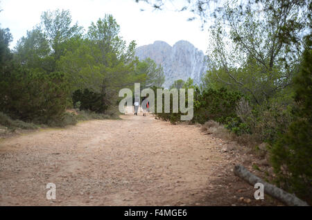 Weg zu ES VEDRA, eine unbewohnte Felseninsel befindet sich 2km vor der Westküste von Ibiza, im Bereich Cala d ' Hort. Stockfoto