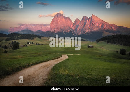 Seiser Alm mit Langkofel Gruppe nach Sonnenuntergang, Südtirol, Italien Stockfoto