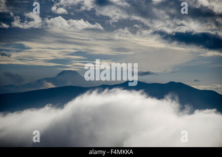 Cayambe im Morgengrauen Stockfoto