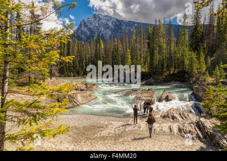 Landschaftliche Schönheit am Kicking Horse River im Yoho Nationalpark, Britisch-Kolumbien, Kanada, Nordamerika. Stockfoto