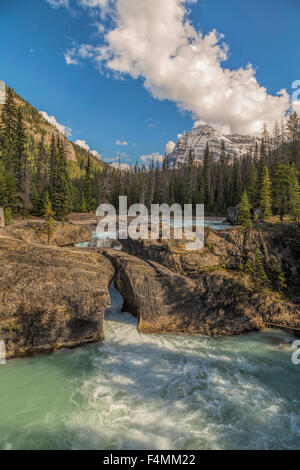 Gletscher genährt Kicking Horse River im Yoho Nationalpark, Britisch-Kolumbien, Kanada, Nordamerika. Stockfoto