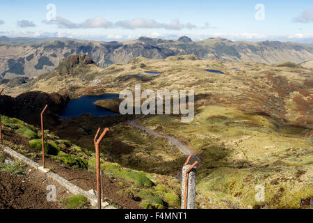 Papallacta-Pass in den Anden von Ecuador Stockfoto