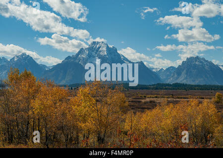 Die Teton und Herbst Laub, Wyoming, USA Stockfoto