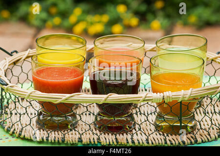 Tablett mit verschiedenen frischen Fruchtsäften in einem Garten Stockfoto