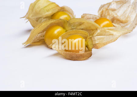 Physalis (Physalis Peruviana) oder Kap-Stachelbeere auf weißem Hintergrund Stockfoto