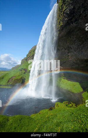 Regenbogen unter 60m hohen Seljalandsfoss Wasserfall, Sudhurland, Island. Stockfoto