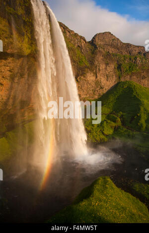 Abend-Regenbogen am Wasserfall Seljalandsfoss, Sudhurland, Island. Stockfoto