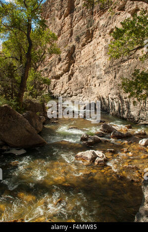 Shell Creek, Bighorn Mountains, Wyoming, USA Stockfoto