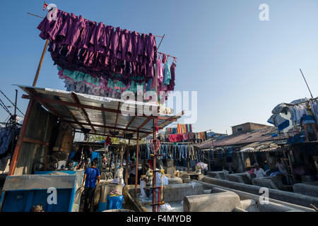 Wäsche auf auf mahalaxmi dhobi Ghat zu trocknen, die weltweit größte outdoor Wäscheservice. etwa 5000 Arbeiter, die hier leben und arbeiten, Stockfoto