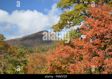 Herbstfarben entlang der Blue Ridge Parkway mit Mt. Pisgah im Hintergrund Stockfoto