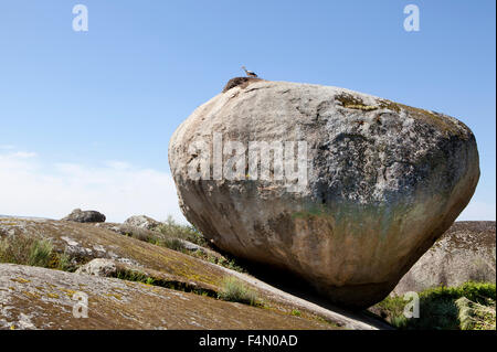 Störche nisten im Naturpark Barruecos, Caceres, Spanien. Dies ist eine spektakuläre natürliche Kreation mit riesigen Granitfelsen Stockfoto