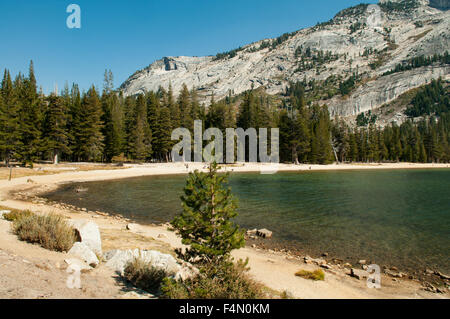 Tenaya Lake, Yosemite NP, Kalifornien, USA Stockfoto