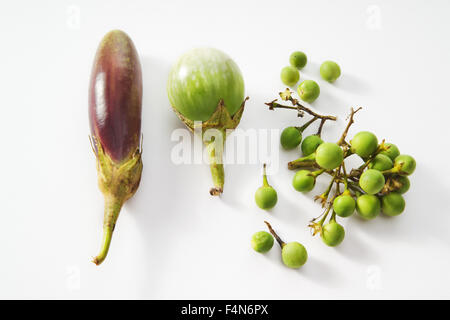 Thai Auberginen, weißer Hintergrund Stockfoto