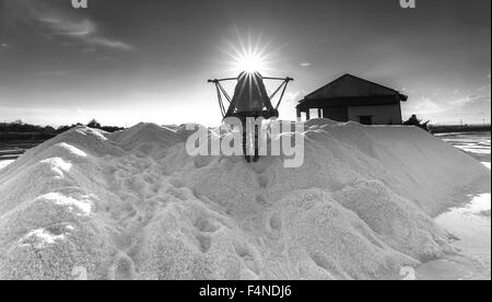 Haufen Salz Salzarbeiter gießen Stockfoto