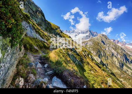 Schweiz, Kanton Uri, Goeschenen, Goescheneralp, Moosstock mit Dammastock Gletscher Stockfoto