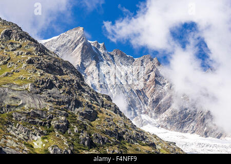 Schweiz, Kanton Uri, Goeschenen, Goescheneralp, Moosstock im Chelenalphütte-Tal Stockfoto