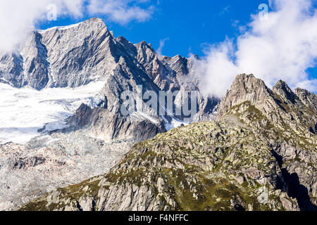 Schweiz, Kanton Uri, Goescheneralp, Moosstock mit Dammastock Gletscher Stockfoto