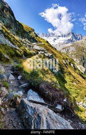 Schweiz, Kanton Uri, Goescheneralp, Moosstock mit Dammastock Gletscher Stockfoto