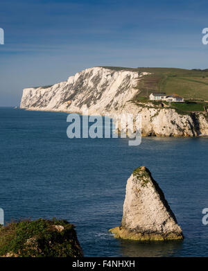 Freshwater Bay Klippen und Felsen, Isle of Wight, England, Großbritannien Stockfoto