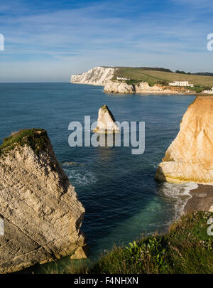 Freshwater Bay Klippen und Felsen, Isle of Wight, England, Großbritannien Stockfoto