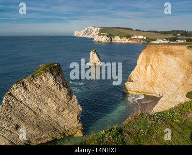 Freshwater Bay Klippen und Felsen, Isle of Wight, England, Großbritannien Stockfoto