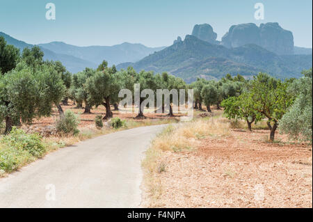 Les Roques de Benet Gipfeln, Els Ports de Tortosa-Beseit Naturpark, in der Nähe von La Horta de Sant Joan, Spanien Stockfoto