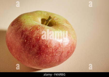 Stayman Äpfel, eine traditionelle amerikanische Sorte von Lancaster County, Pennsylvania, USA Stockfoto