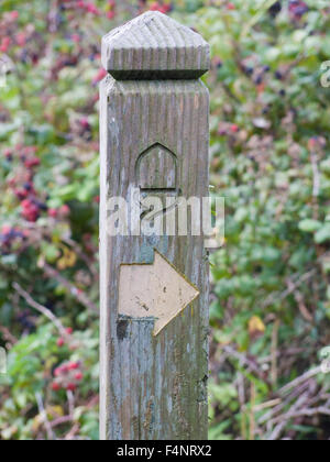 Direktionale Marker Post für South West Coast Path, Lizard Halbinsel, Cornwall, England, Großbritannien Stockfoto