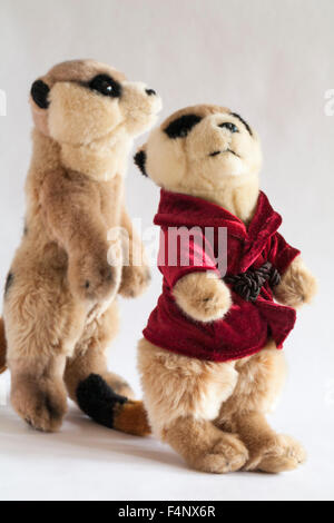 Zwei Erdmännchen weiche Kuscheltiere, eines trägt burgunderrote Morgenmantel Jacke auf weißem Hintergrund gesetzt - Erdmännchen Stockfoto