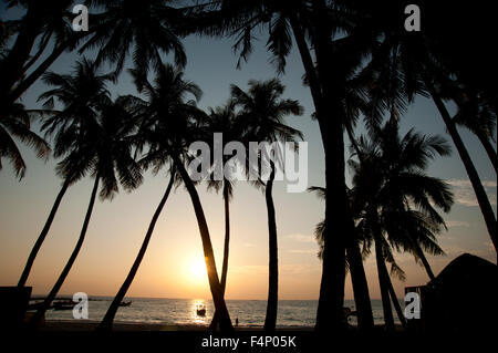 Silhouetted Kokospalmen Frame das Abendrot am Horizont am Ngapali Beach Myanmar Stockfoto