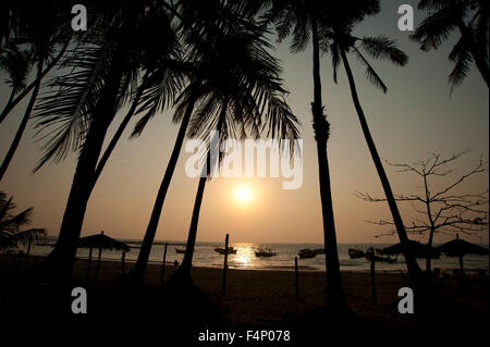 Silhouetted Kokospalmen Frame das Abendrot am Horizont am Ngapali Beach Myanmar Stockfoto