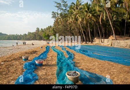 Frauen Trocknen kleine Fische auf die blaue Netze am sandigen Strand von Ngapali Myanmar Burma Stockfoto