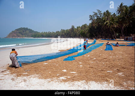 Frauen Trocknen kleine Fische auf die blaue Netze am sandigen Strand von Ngapali Myanmar Burma Stockfoto