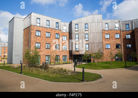 Neues Studentenwohnheim am Campus der University of York Heslington Ost Stockfoto