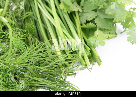 Frische grüne Kräuter wie Dill, Schnittlauch und Koriander auf weißem Hintergrund Stockfoto