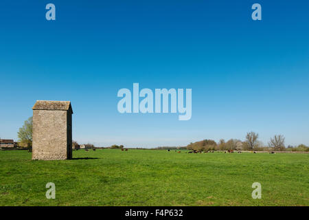 Eine Herde von Kühen und einer Scheune in einem Feld in Fairford, Gloucestershire, UK Stockfoto