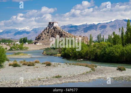 Stakna Gompa ist auf einem Hügel über dem Indus Tal gelegen und umgeben von grünen Bäumen Stockfoto