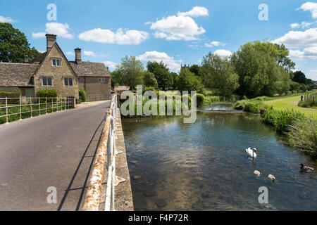 Ein Schwan mit Signet und einige Enten in den Fluss Coln in Fès, Gloucestershire, Vereinigtes Königreich Stockfoto