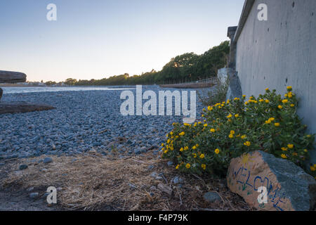 Willkommen Felsen am Eingang zum Strand von Ross Bay in Victoria British Columbia Stockfoto