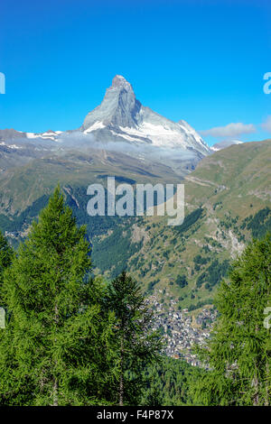 Porträt-Blick auf Matterhorn, Zermatt und Kiefern. Juli 2015. Matterhorn, Schweiz. Stockfoto