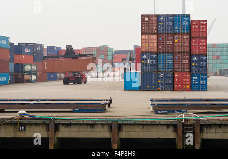 Ein Gabelstapler bewegt Container an einem bewölkten Tag in Rotterdam Europort, Europas größten Container terminal Hafen. Stockfoto