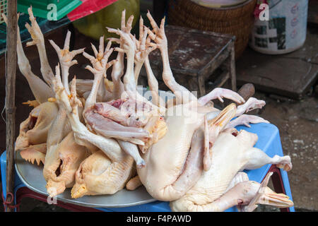 Enthäutete Ente zum Verkauf auf einem Markt in Sapa, Grenzstadt im Nordwesten vietnams, Asien Stockfoto