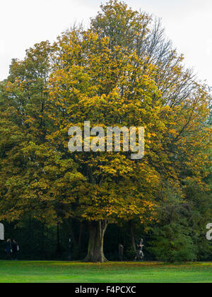 Herbstfarben auf Wandsworth Common in London Stockfoto