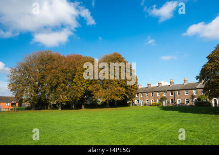 Herbstliche Farben an den Bäumen des Salisbury-Feld in Dorchester, Dorset, Großbritannien an einem herrlichen Herbsttag. Stockfoto