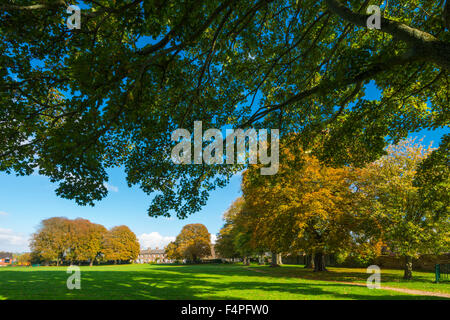 Herbstliche Farben an den Bäumen des Salisbury-Feld in Dorchester, Dorset, Großbritannien an einem herrlichen Herbsttag. Stockfoto