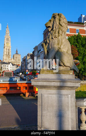 Löwenstatue und Kathedrale unserer lieben Frau, Antwerpen, Belgien Stockfoto