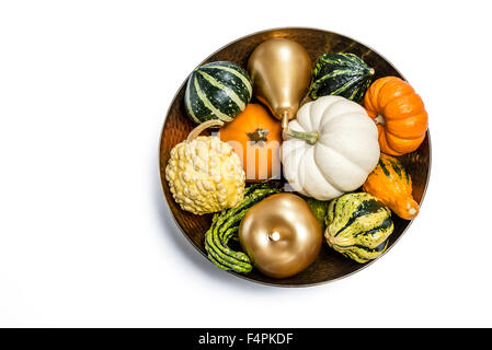 Thanksgiving fallen ausgeschnittene Kürbisse & Gords in Gold Schüssel mit Gold Apple & Birne auf weißem Hintergrund Stockfoto