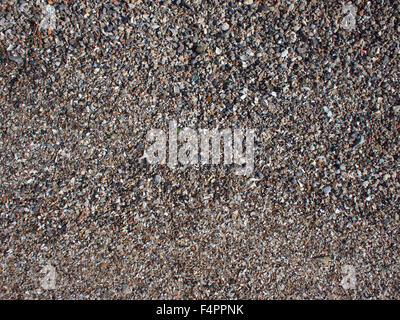 Draufsicht der nassen Sand und kleinen Steinen mit Fragmente von Muscheln am Strand Closeup. Es kann als Hintergrund verwendet werden. Stockfoto