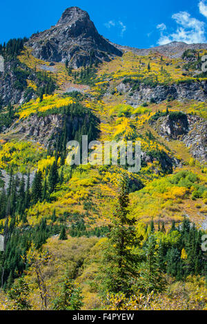 Colorado Herbstfarben in der Nähe von Rätsel Hot Springs Trail Stockfoto