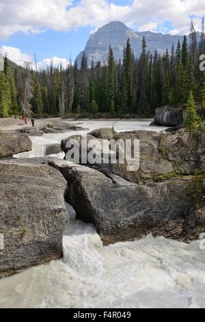 Das Sediment gefüllt Wasser des Kicking Horse River durchzogen "Naturbrücke" in den Yoho-Nationalpark, Kanada Stockfoto